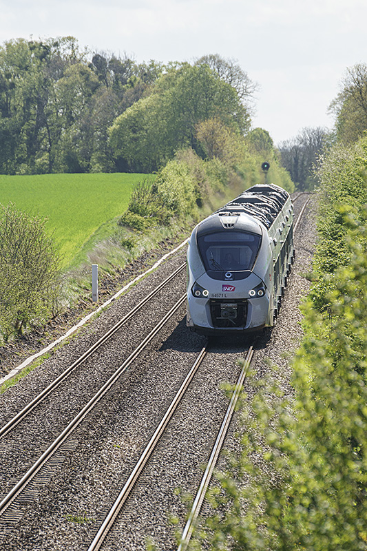 84571tercey16042025.jpg