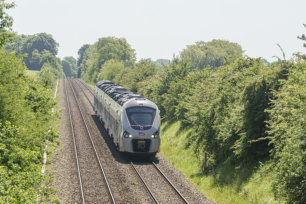 B84559L-1tercey16052025.jpg